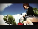 とらはぜ式もぶがモンキーで走る動画