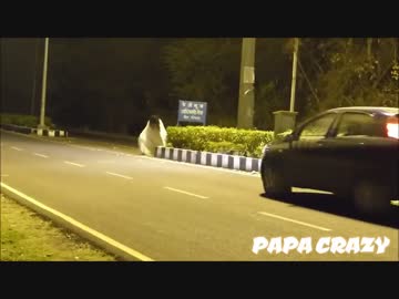 車に幽霊のドッキリを仕掛けて遊んでたら、轢かれる