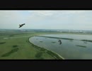 空撮　上昇気流に乗って鷹と上空へ舞う