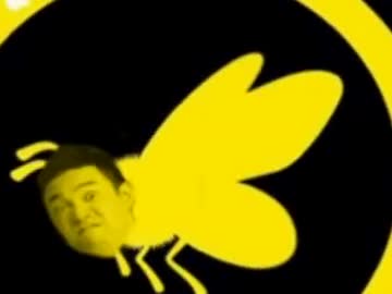 ヤラバチヤラバチ