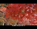 ≪歌≫もみじのうた２０１５＊NNIオリジナル曲ブルーレゾナンス