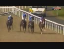 謎のペルー馬アヤファスカ、オールウェザーに挑戦する