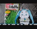 [小４男子] ｵﾘｼﾞﾅﾙ曲 「いんげん"ﾌﾟ~ﾘﾌﾟﾘ!"（仮）」  Coco@
