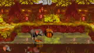 【実況プレイ】GBA版ドンキーコング３を実況【Part2】