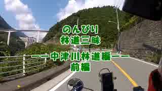 【中津川林道・前編】のんびり林道三昧【のんびりセローで】