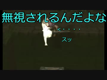 【ICO実況】人は、手を取り合って生きていく #11【PHAB】