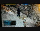 スライドマン【DDON】