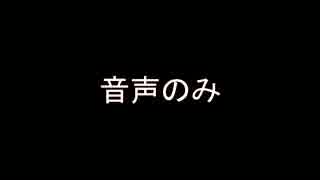 ぶっちぎりＶ８ステーション