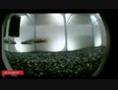 9.29こめ師雷魚飯.mp4