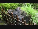 【癒し系ＢＧＭ】　雨音と雫　日本庭園②　【自然音】