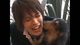 宮野くんと犬とお台場