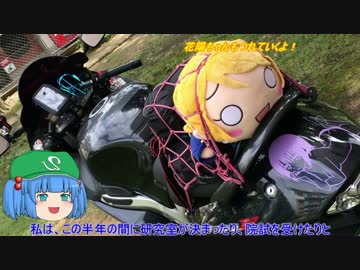 ゆっくりにとりと痛ブサでツーリング！！part3【角島ツーリング編】