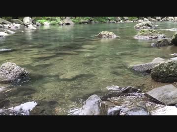 【癒し系ＢＧＭ】　渓谷⑬　清流　【自然音】