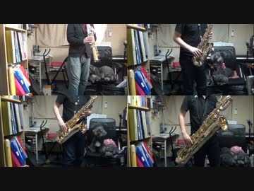 サックスで「スーパーマリオブラザーズ3」を吹いてみた