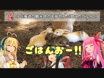 小動物がしゃべるだけ　004