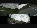 ニリドラをつけたので