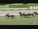 【競馬】2015年 甲東特別 ダッシングブレイズ【3歳上1000万下】