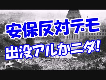 【安保反対デモ】 出没アルかニダ！