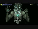 不器王を目指せ Terraria制限プレイ Lastステージ 【実況】 act.6