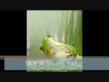 「耳コピ」明日ハレの日、ケの昨日
