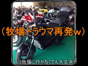 PCX150がGSR750さんとツーリングだよっ！