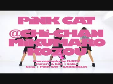 【まろこぞちー】PiNK CAT【踊ってみた】