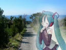 菜の花の咲く頃に