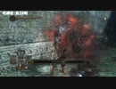 【DarkSouls2】下級兵chapのんびりsouls part26（またですか!？の回）