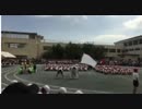 常安 達彌
