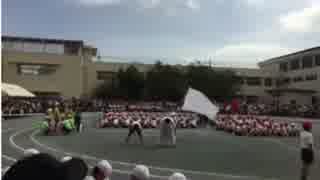 常安 達彌