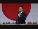 【第118回】安倍総理を国家内乱罪容疑で逮捕して法廷で裁け③