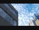 ハシケン 「油をかけにいってみる」のち周辺散歩5/10