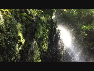 【癒し系BGM】　滝と苔と雫③　【自然音】