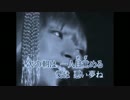 【一発録りで】LIAR　ニコカラ【歌ってみた】