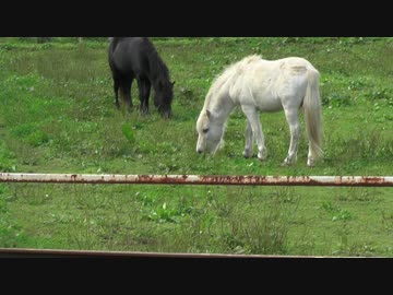 まったり農家な一日　第３３話