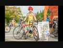 【車載】2015 弱虫ペダルロードレース 宇都宮GSR チャンピオンクラス
