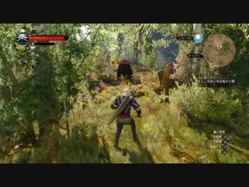【ウィッチャー３　ワイルドハント】黒い塊【第１０狼】