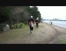 【2010.12.29】リアルモンスターハンター第三章 旧密林に走る稲妻 フルフル