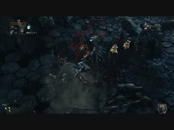 【初見】ハカハカしながらブラッドボーン実況 第70夜