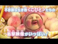 『映画 こびとづかん カクレモモジリの秘密の桃園』特報