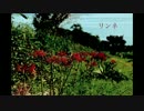 【妖怪さん】リンネ　歌ってみた.mov
