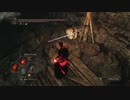 【ダークソウル2】 気ままに侵入 Rebirth 20
