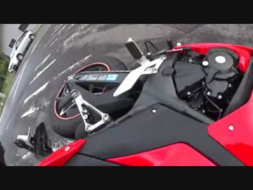 【CBR250R】若葉ライダーが立ちごけしたよー【1ヶ月目】