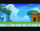 【スーパールイージU】細々と記録をつけていく Part 30 【4-5】