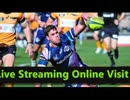 (Rugby Championship) : Melbourne vs NSW Eagles live
