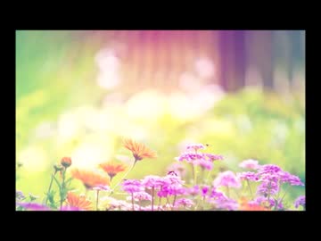 【ORANGENOISE SHORTCUT】　Volumy!　デモ版＋アルバム版