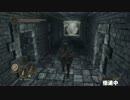 【DarkSouls2】下級兵chapのんびりsouls part28（虚ろな道の回）