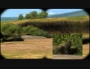 【まゆだぬき】倒れた木がアレに見えてしまう（AFRIKA）