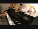 IGNITE弾いてみた　【ピアノ】【SAOⅡ】