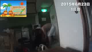 5人が行く！沖縄ツアー２０１５　Vol.1